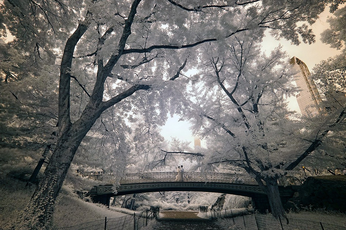 Zheqin &  Po – October 1st, 2016. Emin Kuliyev — Award-Winning Wedding Photojournalist NYC & USA | Best Wedding Photographer Known for Candid, Timeless Moments