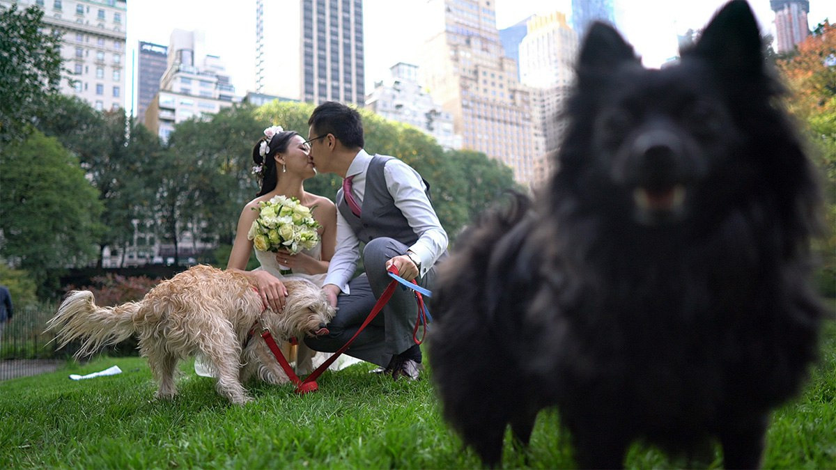 Coco and Shengzhe – October 17th, 2016. Emin Kuliyev — Award-Winning Wedding Photojournalist NYC & USA | Best Wedding Photographer Known for Candid, Timeless Moments