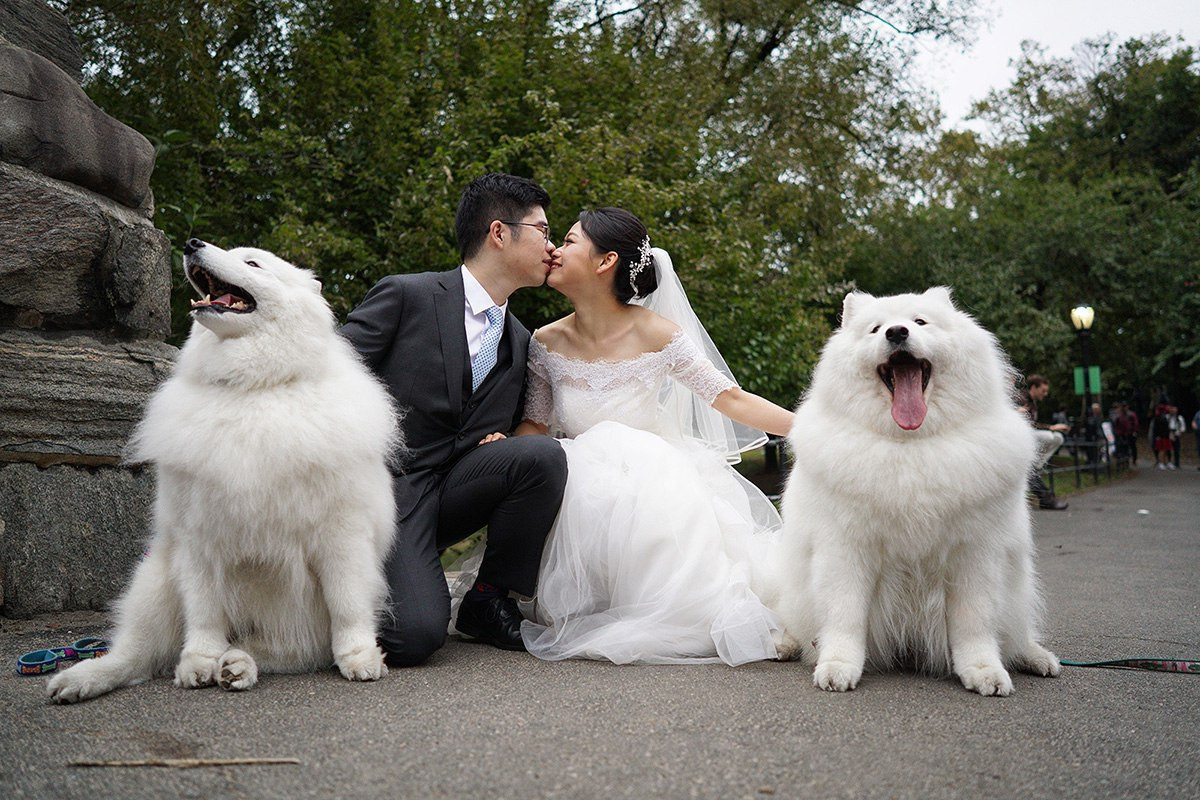 Zheqin &  Po – October 1st, 2016. Emin Kuliyev — Award-Winning Wedding Photojournalist NYC & USA | Best Wedding Photographer Known for Candid, Timeless Moments
