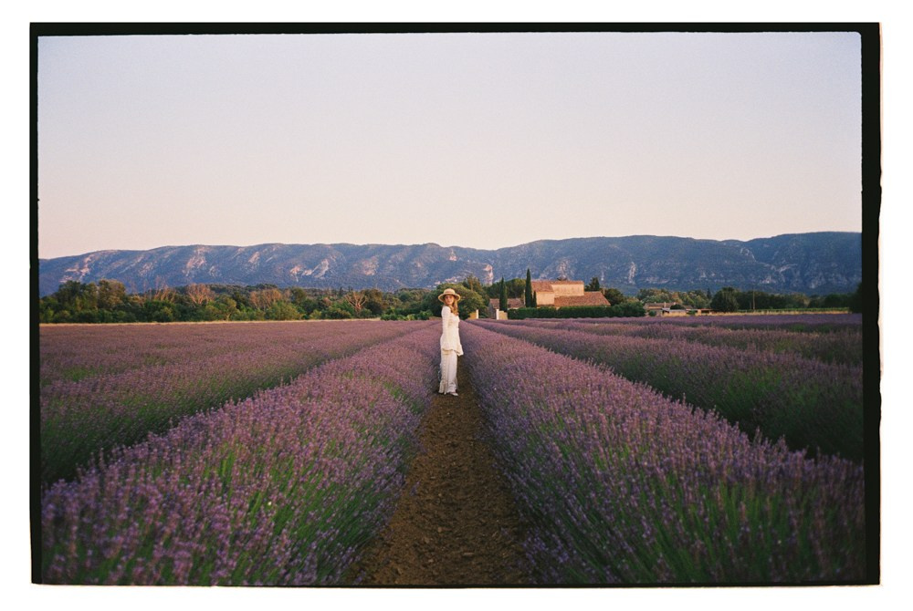 Bride walking through lavender rows in Provence France wedding portraits