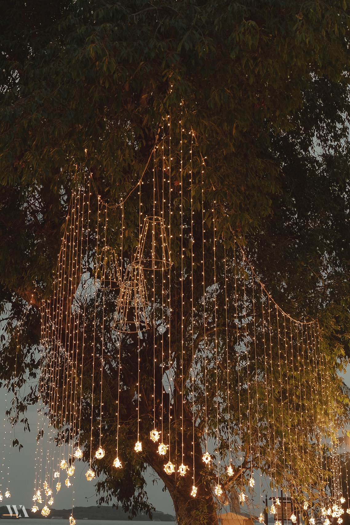 Bella + moritz. Wedding & Editorial Photographer | Anandshivadas