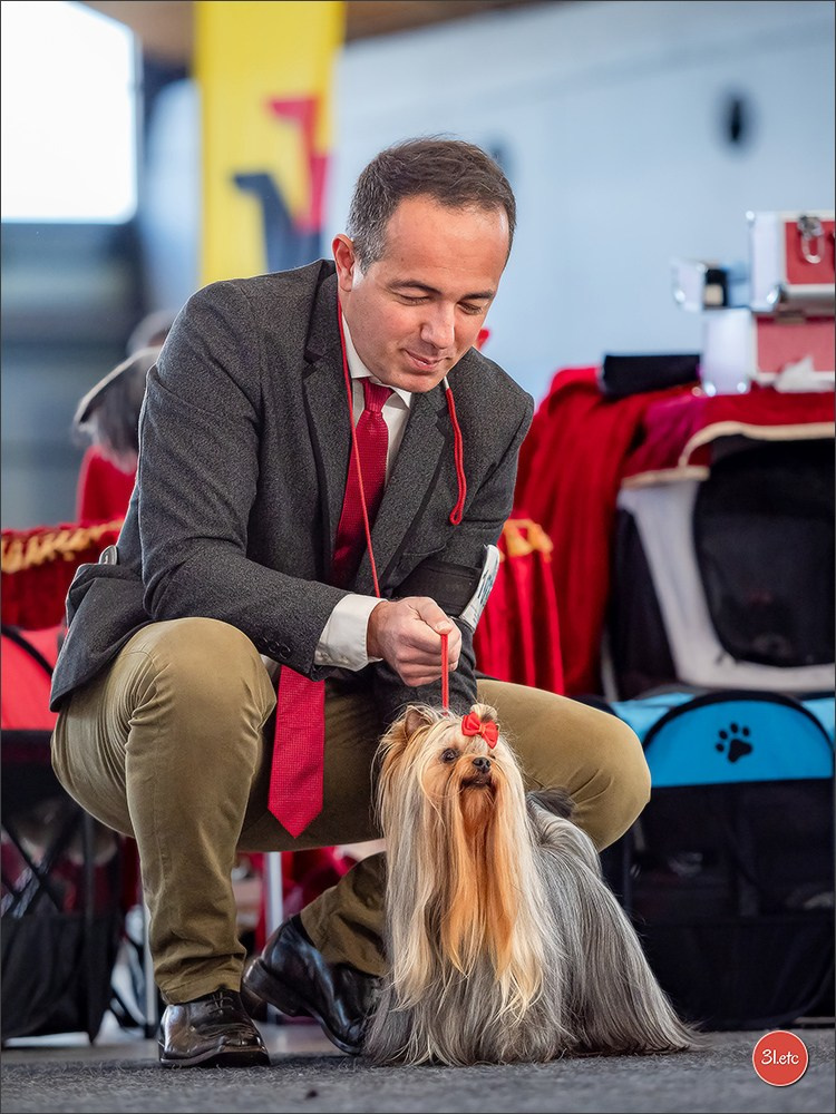 Dog Show Karlsruhe 🇩🇪  29-30/11/2025. Photographe à Strasbourg | Portraits, Studio, Enfants, Événements