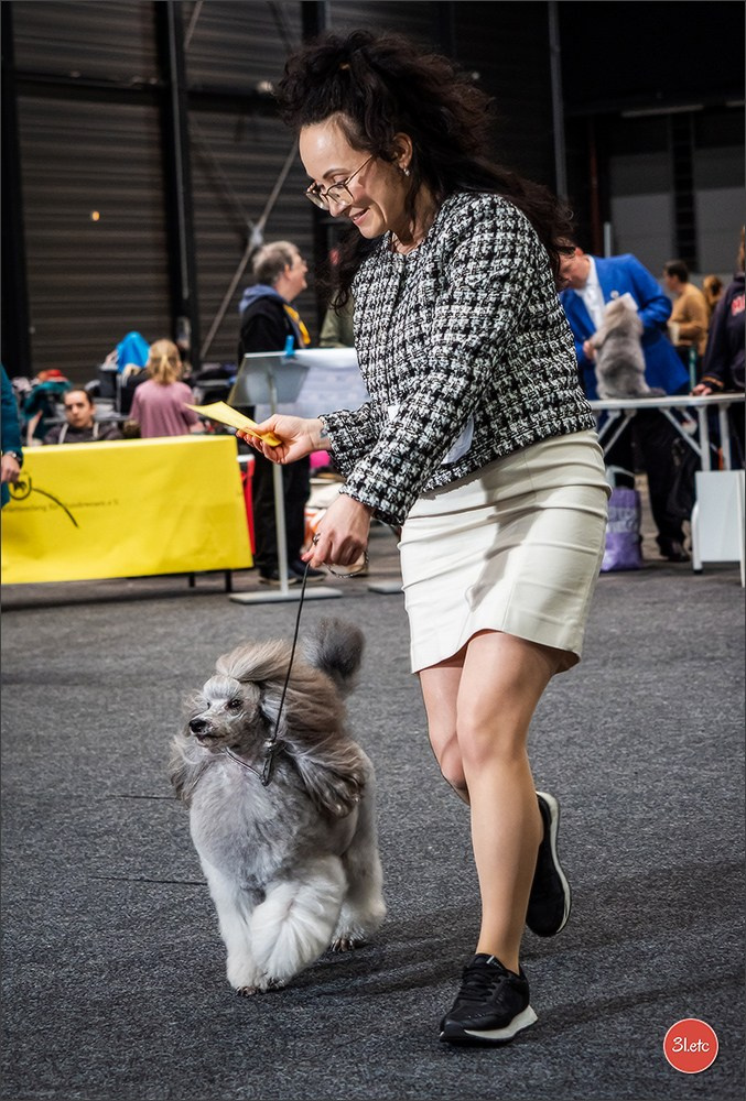 🇩🇪 Offenburg  International Dogshow 09-10.03.24 🇩🇪. Photographe à Strasbourg | Portraits, Studio, Enfants, Événements
