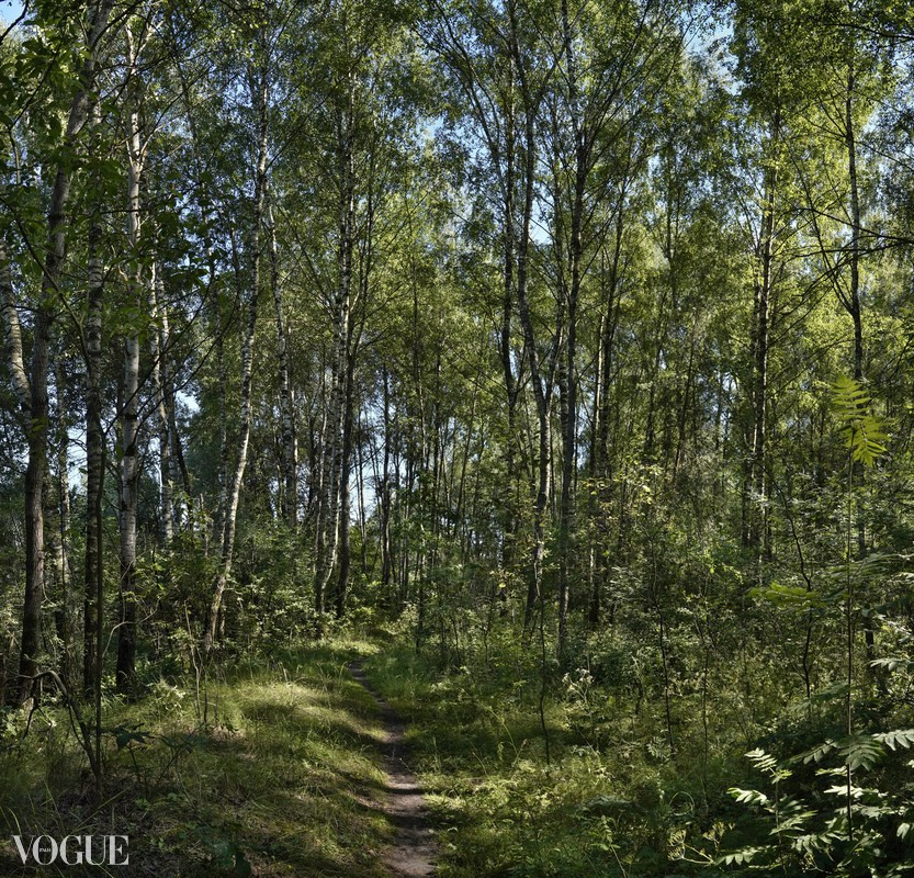 Сказка подмосковного леса. Суть фотографии в стиле изобразительного искусства