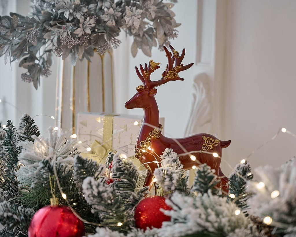 Новогодние съемки. Женский и семейный фотограф в Ташкенте