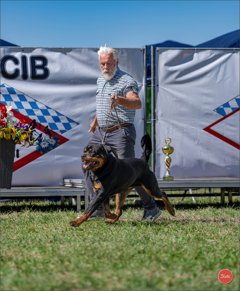 Dog Show - Hallbergmoos 🇩🇪 11-12/07/2026