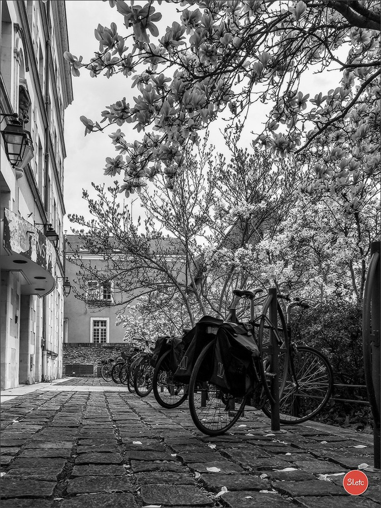 Angers. Photographe à Strasbourg | Portraits, Studio, Enfants, Événements