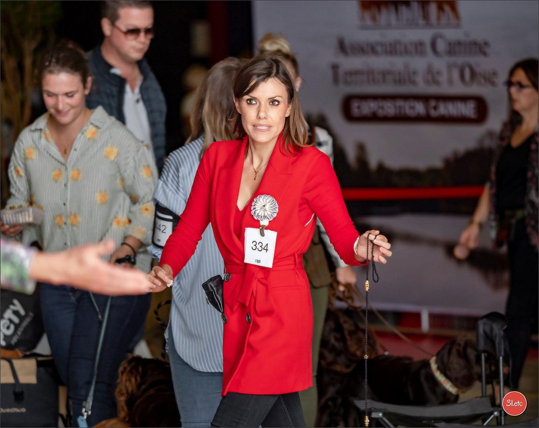 Expo canine 🇫🇷 MARGNY LES COMPIEGNE 06-07/09/2025. Photographe à Strasbourg | Portraits, Studio, Enfants, Événements