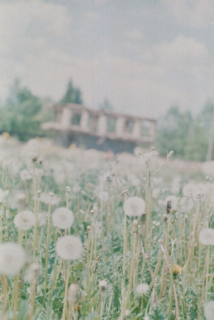 Ochyor (Perm region, Russia) 2013. Elena Zykova film photographer in London