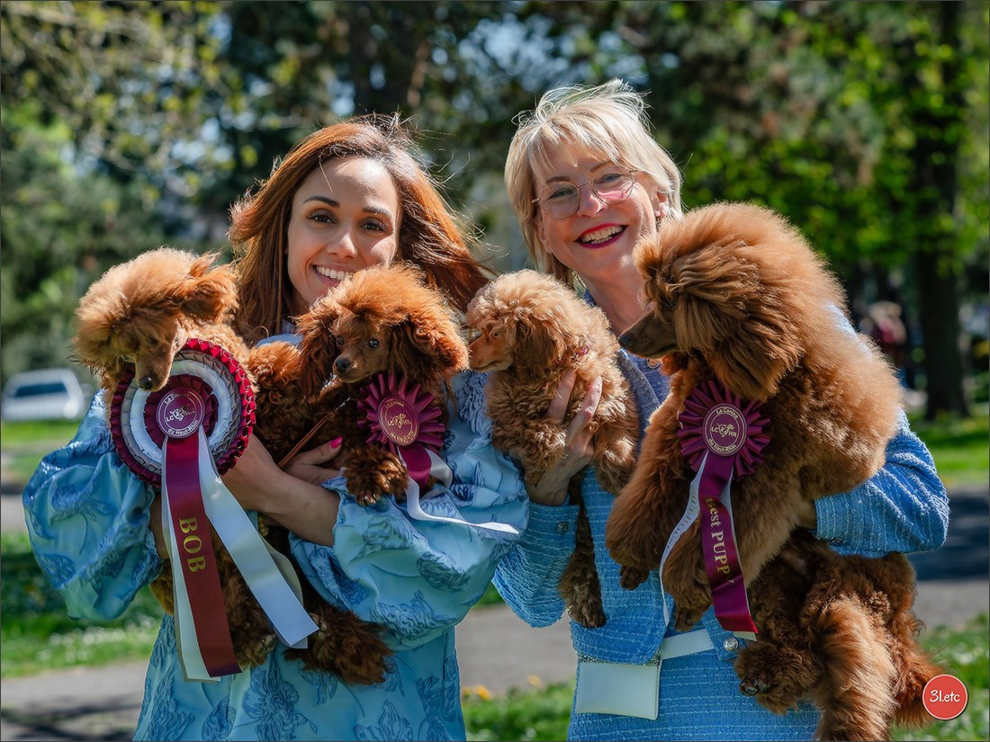 Expo canine   🇫🇷   Mulhouse 5-6/04/2025. Photographe à Strasbourg | Portraits, Studio, Enfants, Événements
