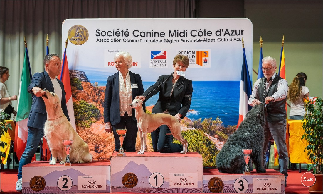 Expo canine 🇫🇷 Martigues 18-19/04/2026