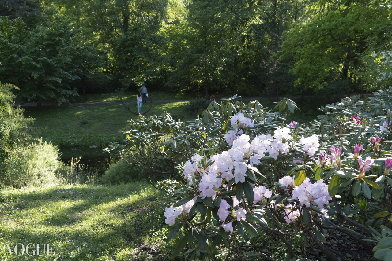 Красота садов и парков. Суть фотографии в стиле изобразительного искусства