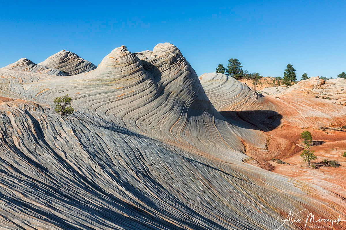 New Year In Utah. Pet, Senior, Landscape, portrait studio, photographer in Miami and Sou