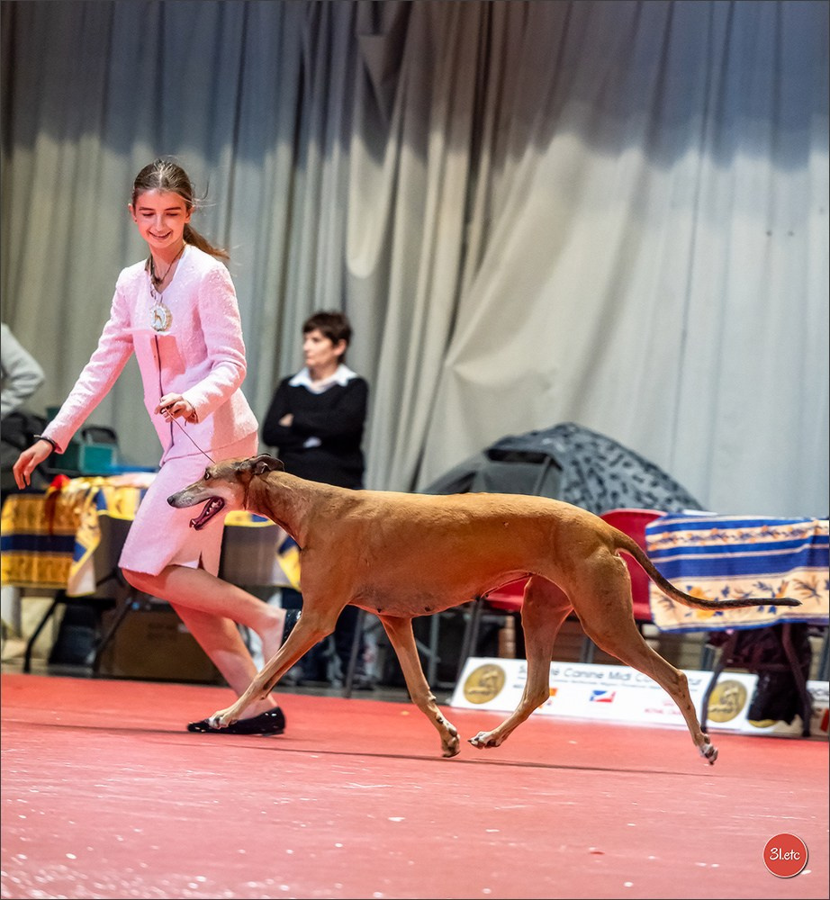 Photographie animalière. Photographe à Strasbourg | Portraits, Studio, Enfants, Événements