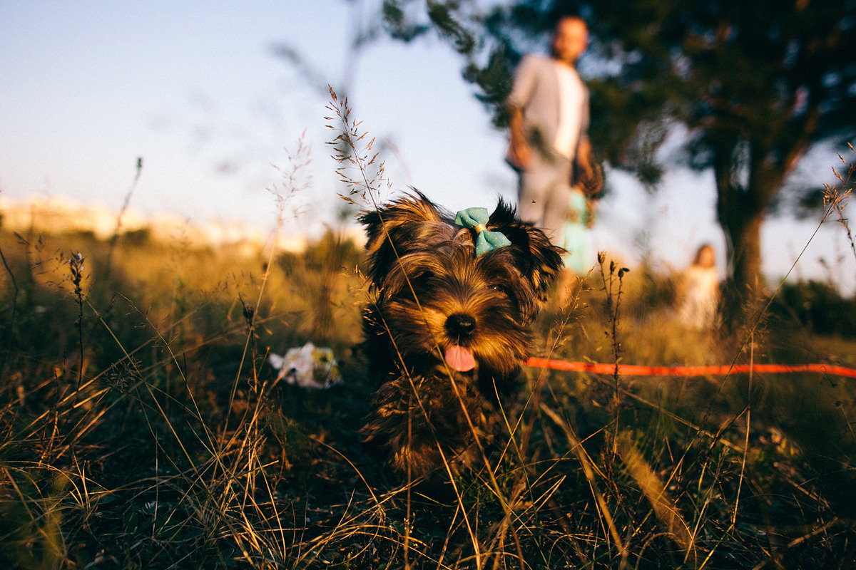 Family. Destination Wedding photographer Italy, France, Germany, Spain, Poland Oleg Zaicev