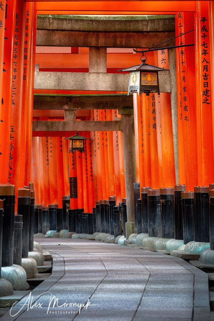 Hanami Season in Japan. Pet, Senior, Landscape, portrait studio, photographer in Miami and Sou