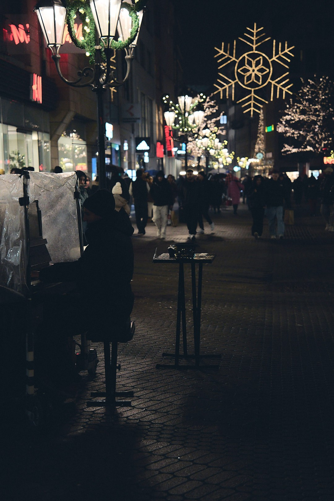 Nürnberger Christkindlesmarkt. Aleksandr Steinbrenner | Streetfotografie