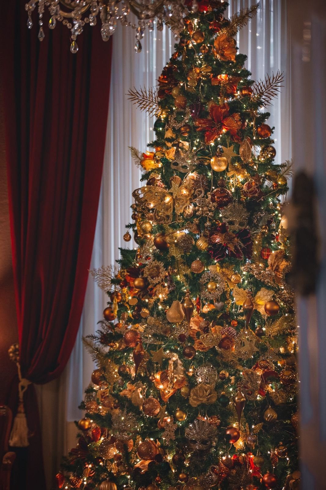 Sedinta foto de Craciun