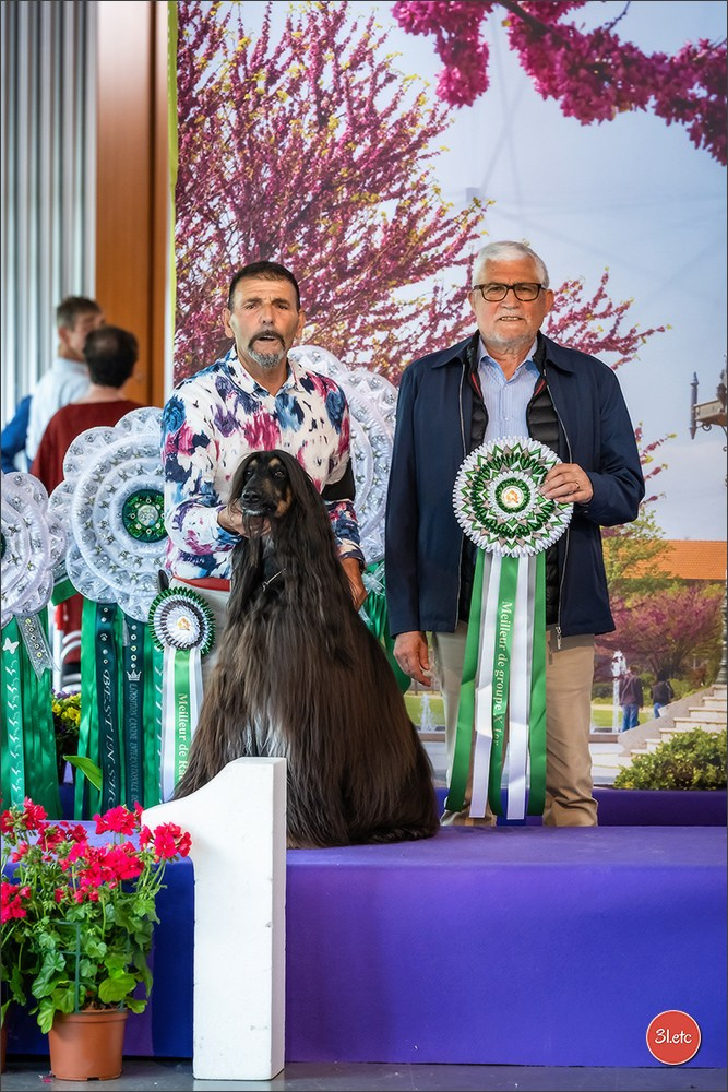 Expo canine 🇫🇷 Valence 02-03/05/2026