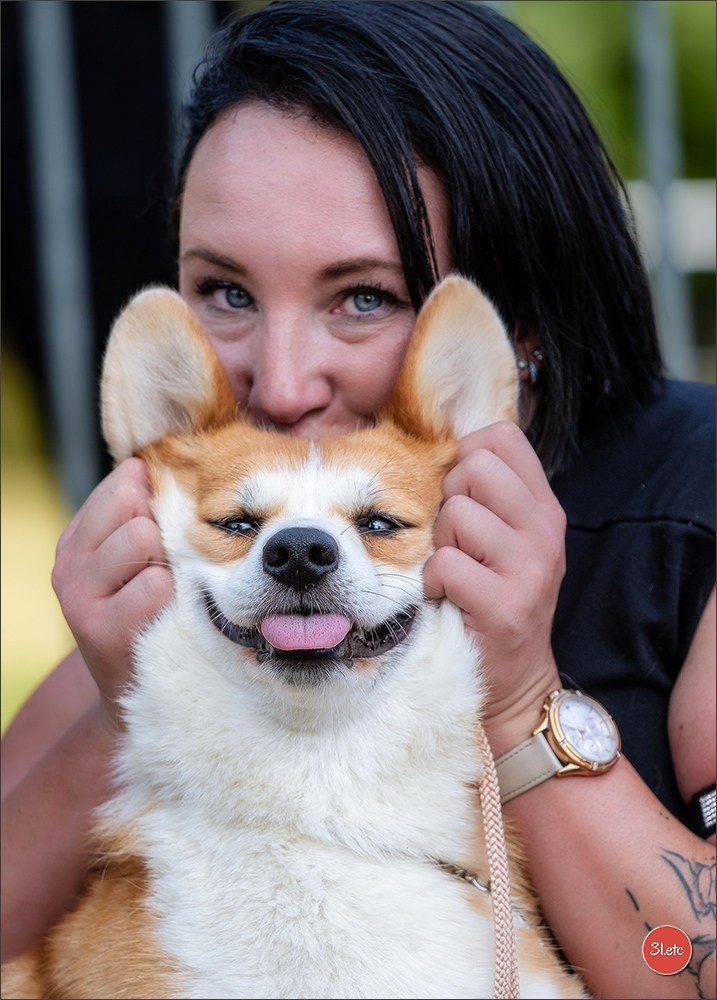 🇫🇷 Romorantin - Exposition Canine Nationale. Photographe à Strasbourg | Portraits, Studio, Enfants, Événements
