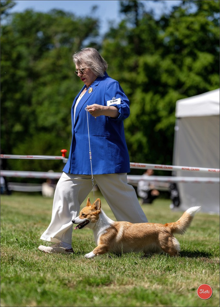🇫🇷  CHARTRES  🇫🇷  2026  🇫🇷  Exposition Canine Nationale - Château des Boulard