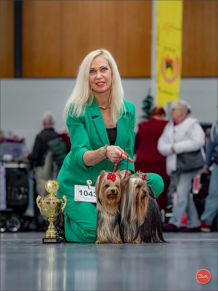 Dog Show Karlsruhe 🇩🇪  29-30/11/2025. Photographe à Strasbourg | Portraits, Studio, Enfants, Événements
