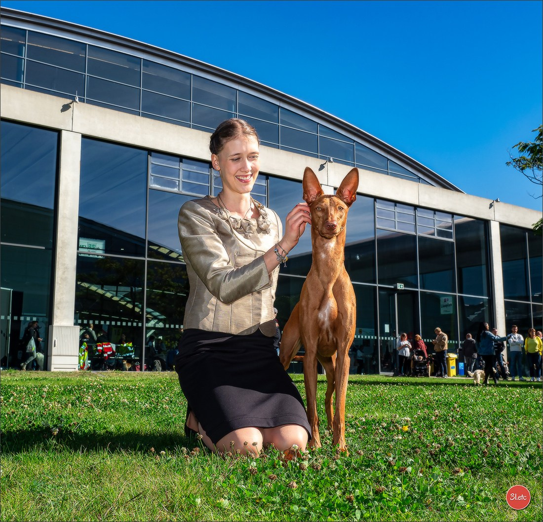 Exposition Canine à Karlsruhe 28-29/09/2024. Photographe à Strasbourg | Portraits, Studio, Enfants, Événements