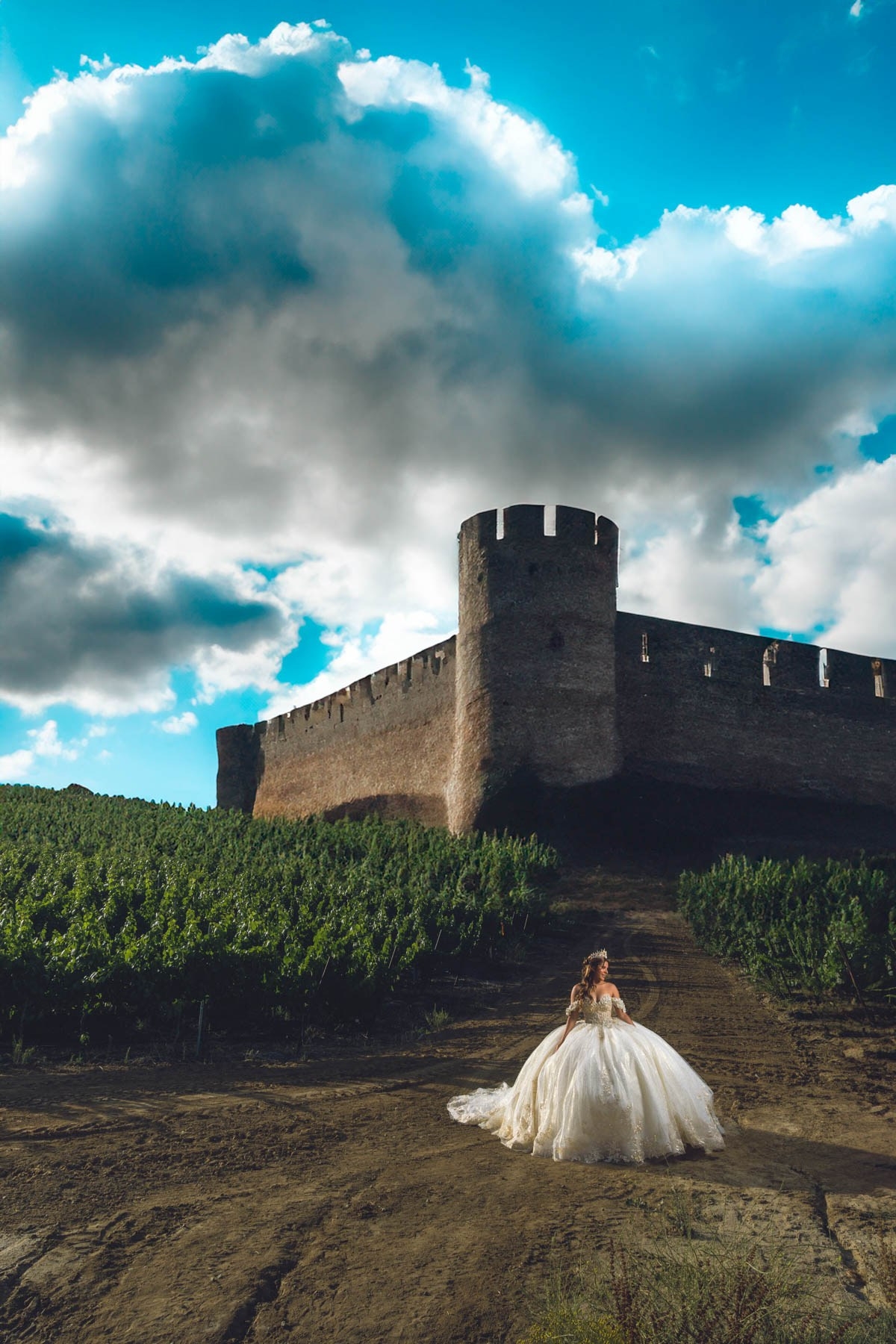 XV. Estudio de fotografia en Tijuana