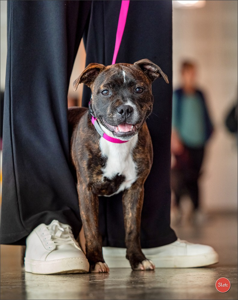 Photographie animalière. Photographe à Strasbourg | Portraits, Studio, Enfants, Événements