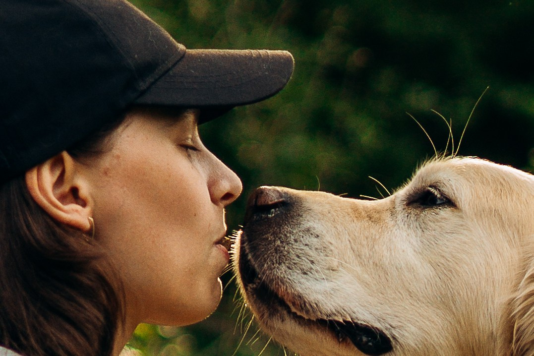 Настя, Арчи, Арагон. Фотограф-анималист | Белград