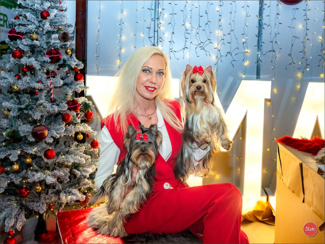 Dog Show Karlsruhe 🇩🇪  29-30/11/2025. Photographe à Strasbourg | Portraits, Studio, Enfants, Événements