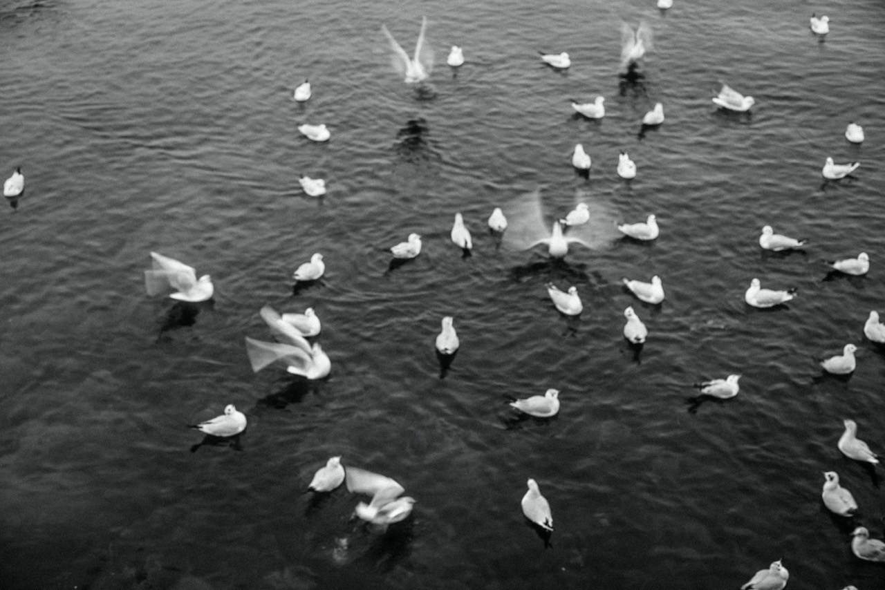 More More. Katerina Kiper Photography