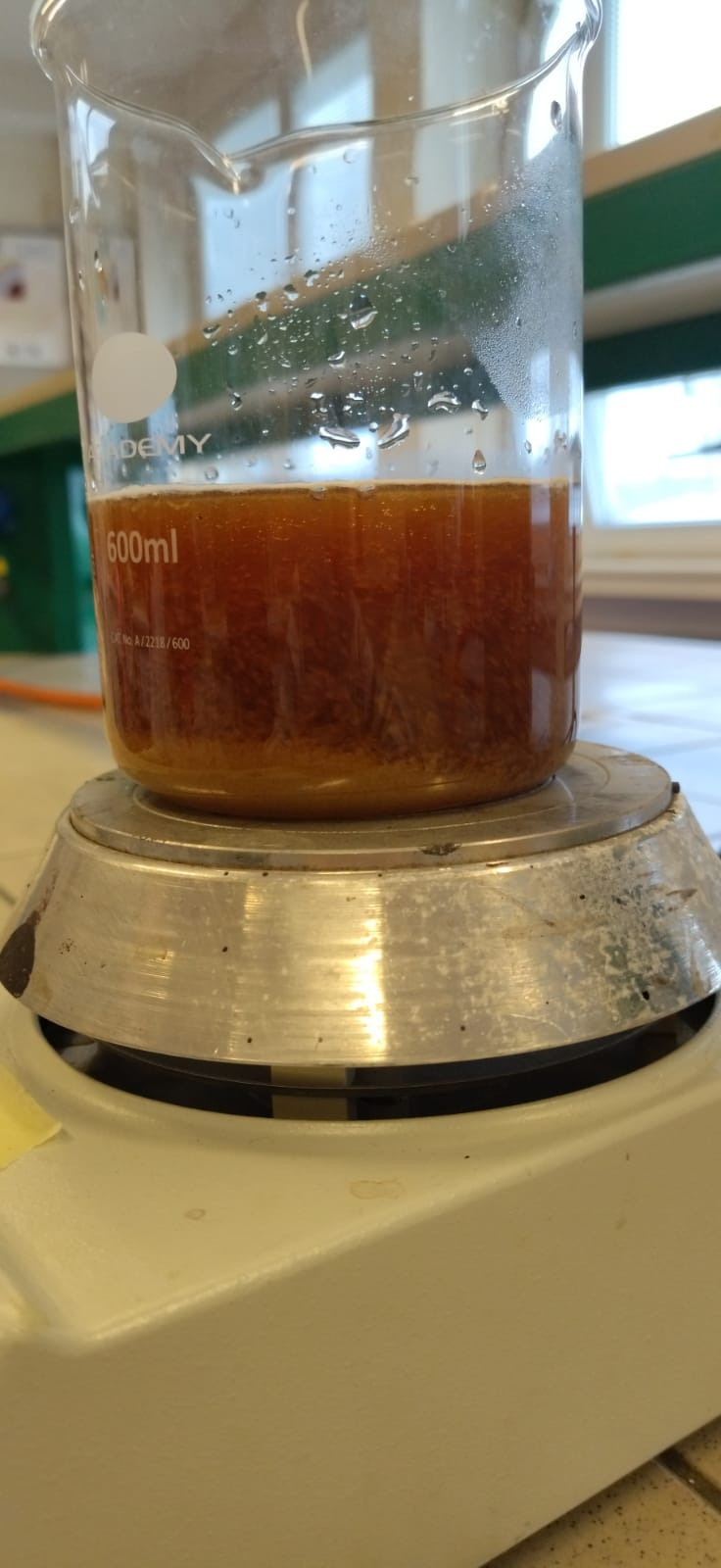 Making sugar crystals. Kiki-Niki-Cha! Learn, play, and discover with us!