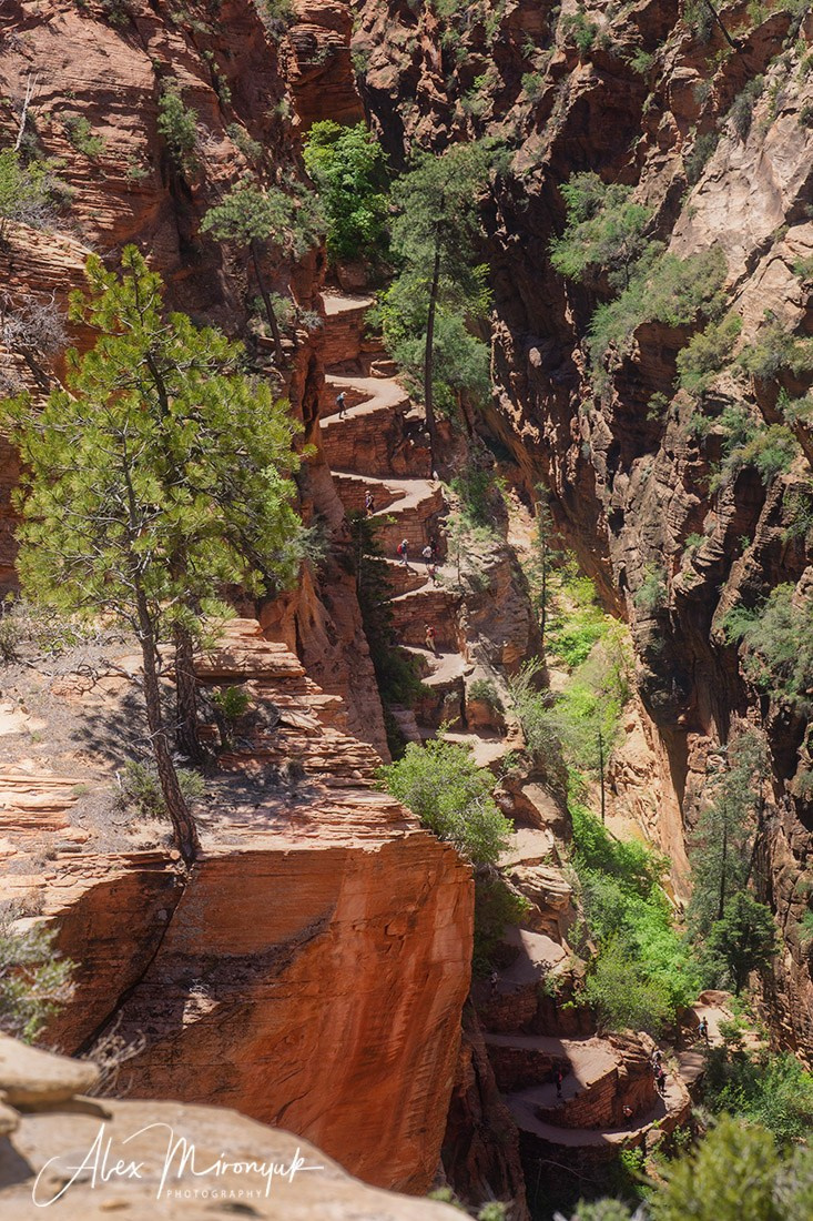 New Year In Utah. Pet, Senior, Landscape, portrait studio, photographer in Miami and Sou