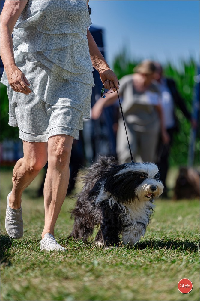 Dog Show - Hallbergmoos 🇩🇪 11-12/07/2026