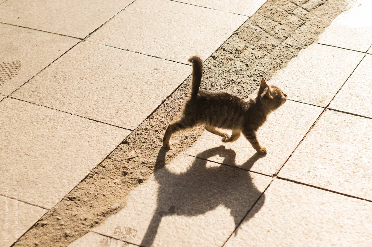Стамбул, Турция. Анна Леденева Фотограф