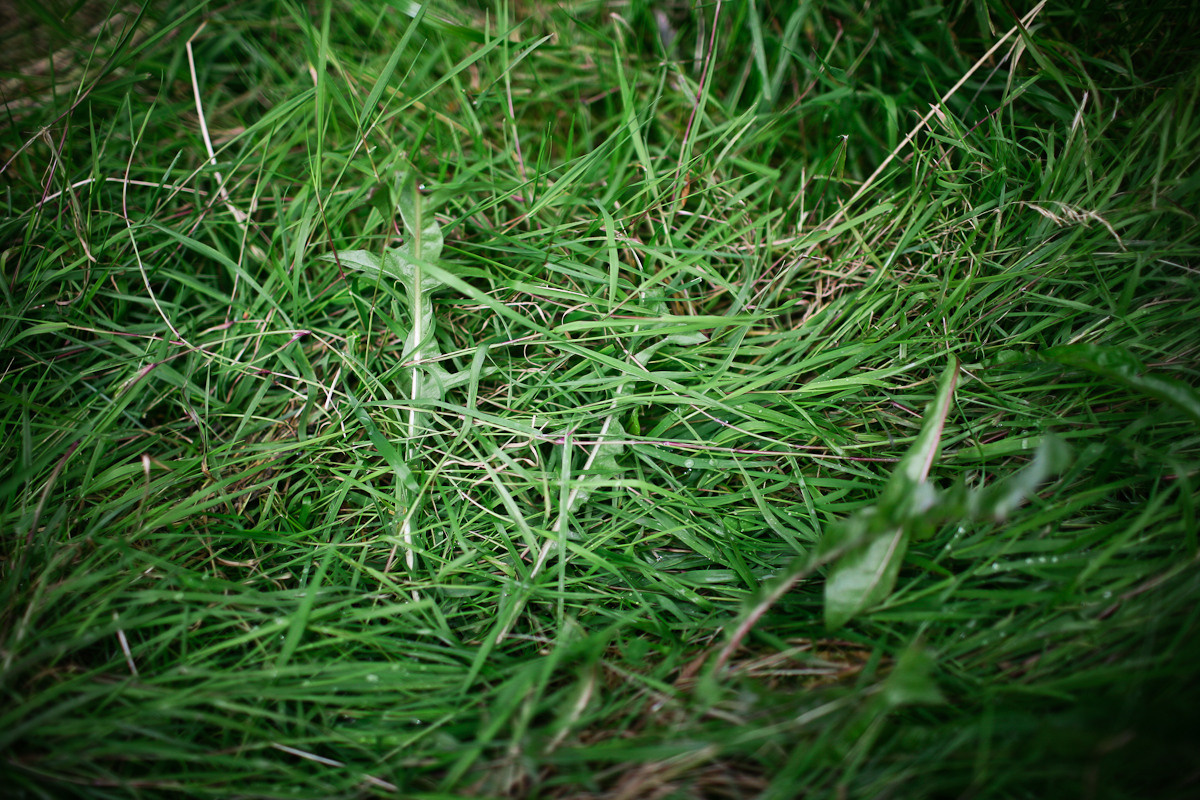 Before you came. Victoria Dini. Art photography in London / Folkestone, UK