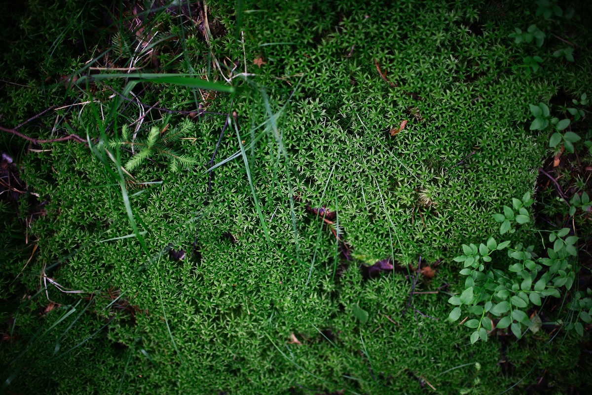 Before you came. Victoria Dini. Art photography in London / Folkestone, UK