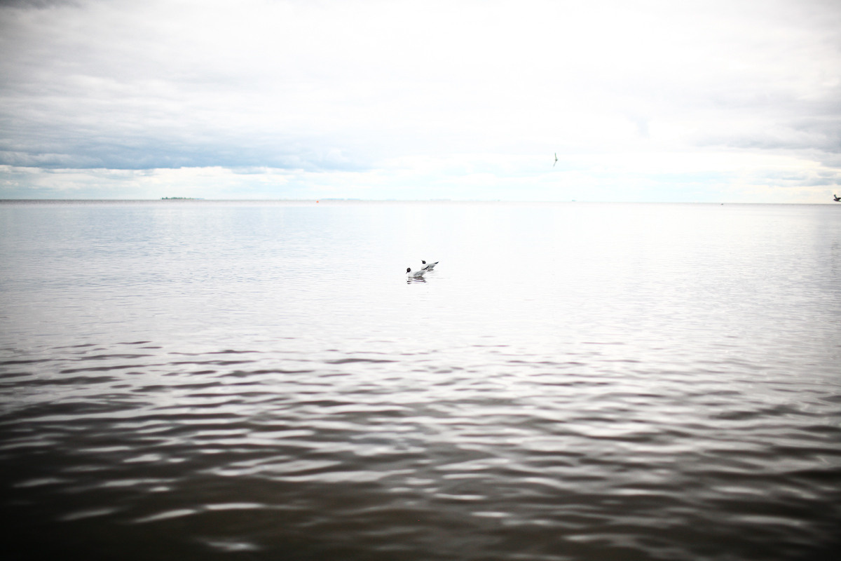 Before you came. Victoria Dini. Art photography in London / Folkestone, UK