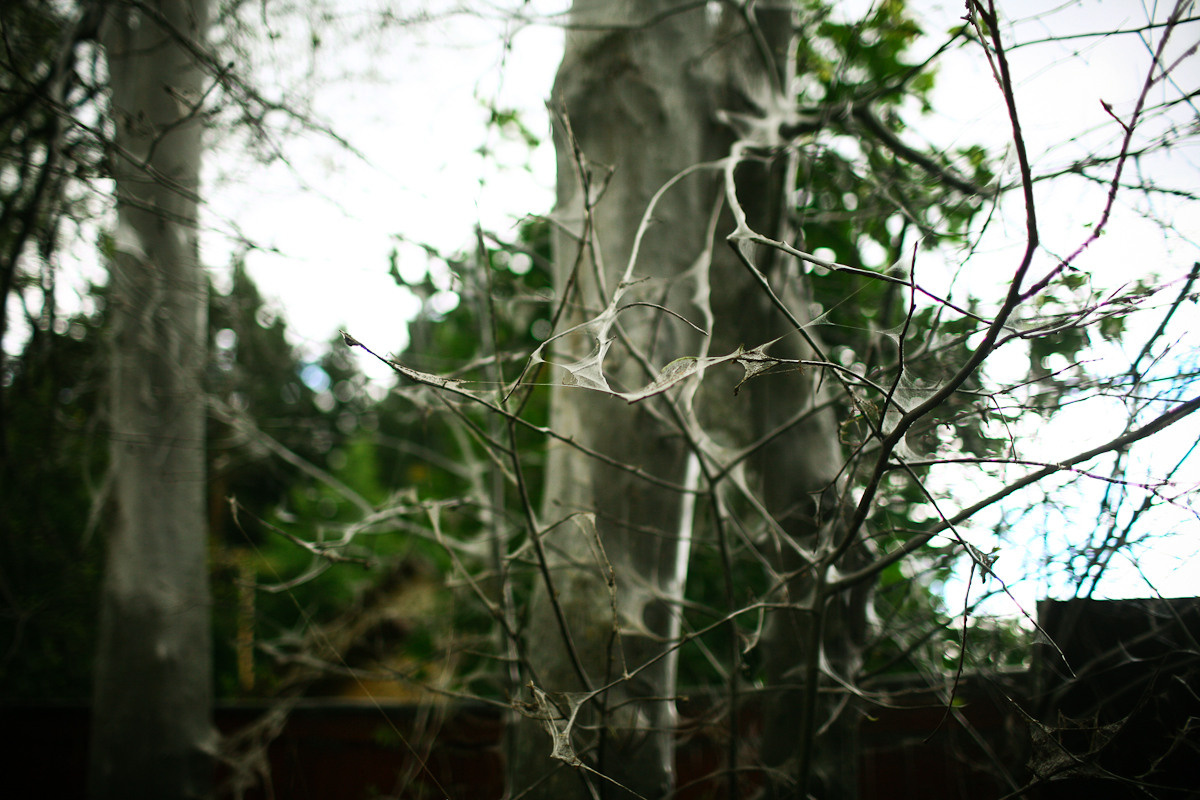 Before you came. Victoria Dini. Art photography in London / Folkestone, UK