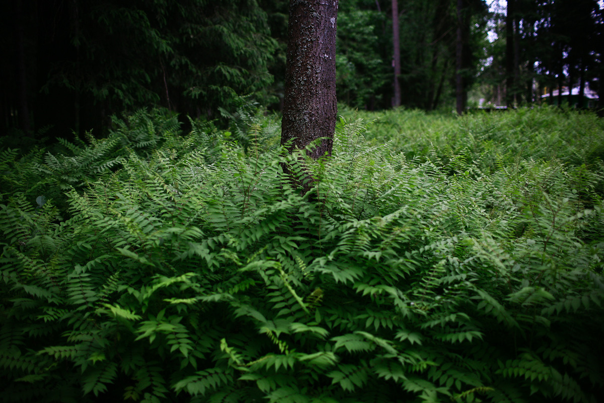 Before you came. Victoria Dini. Art photography in London / Folkestone, UK