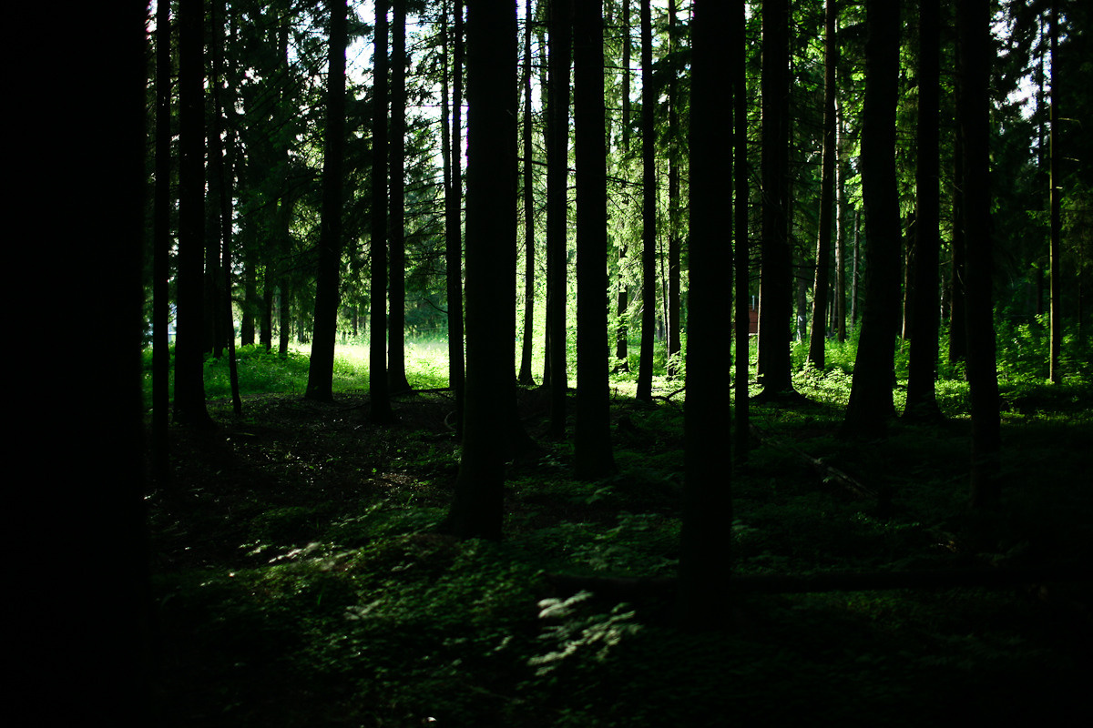 Before you came. Victoria Dini. Art photography in London / Folkestone, UK