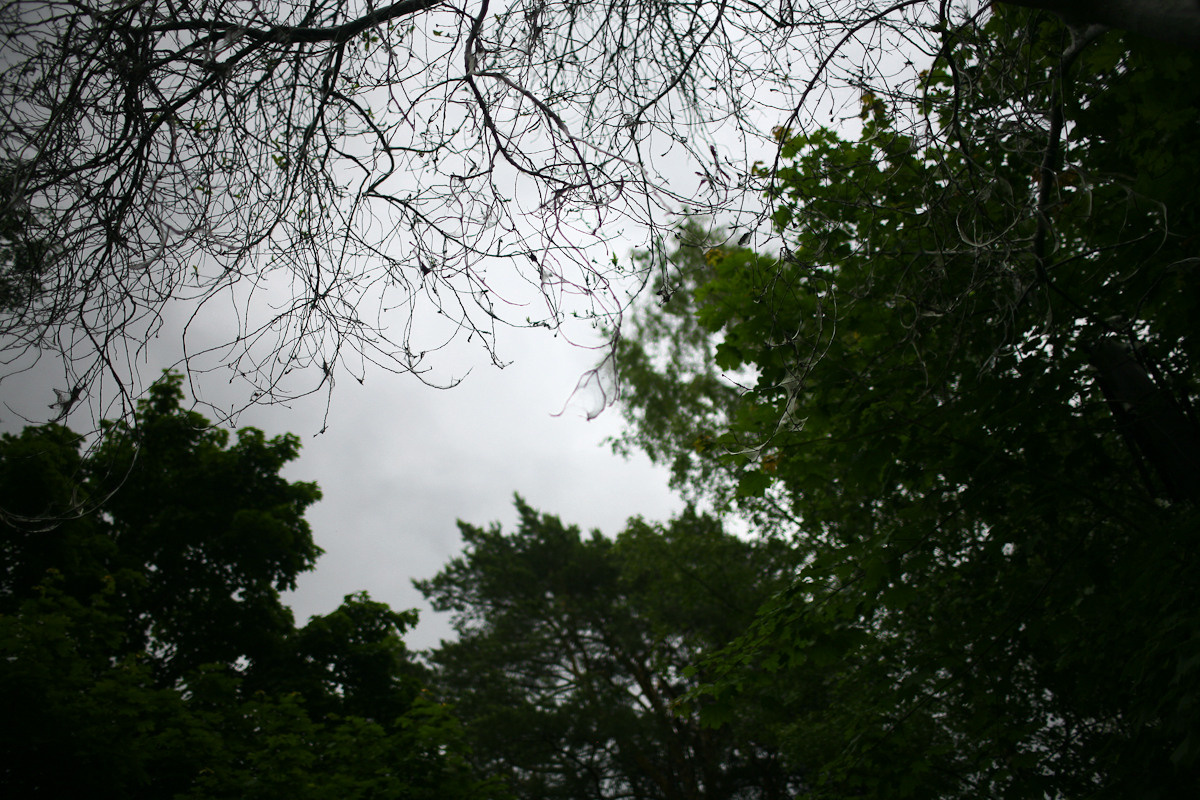 Before you came. Victoria Dini. Art photography in London / Folkestone, UK