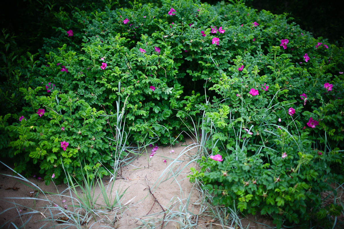 Before you came. Victoria Dini. Art photography in London / Folkestone, UK