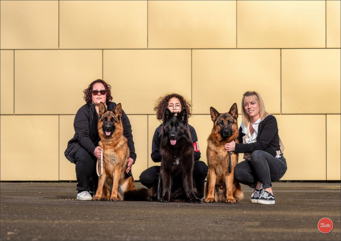 🇫🇷  Chalons en Champagne  🇫🇷  Expo canine  31/01-01/02/2026. Photographe à Strasbourg | Portraits, Studio, Enfants, Événements
