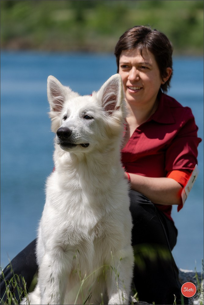 Photographie animalière. Photographe à Strasbourg | Les animaux, Portraits, Studio, Événements