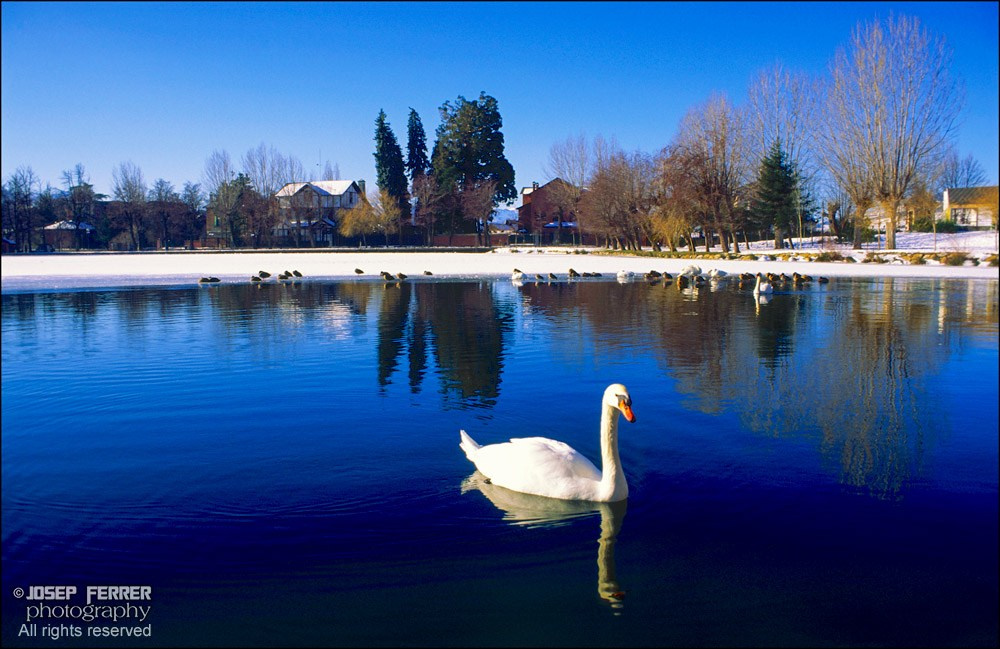 Estany de Puigcerdà, La Cerdanya, Catalunya