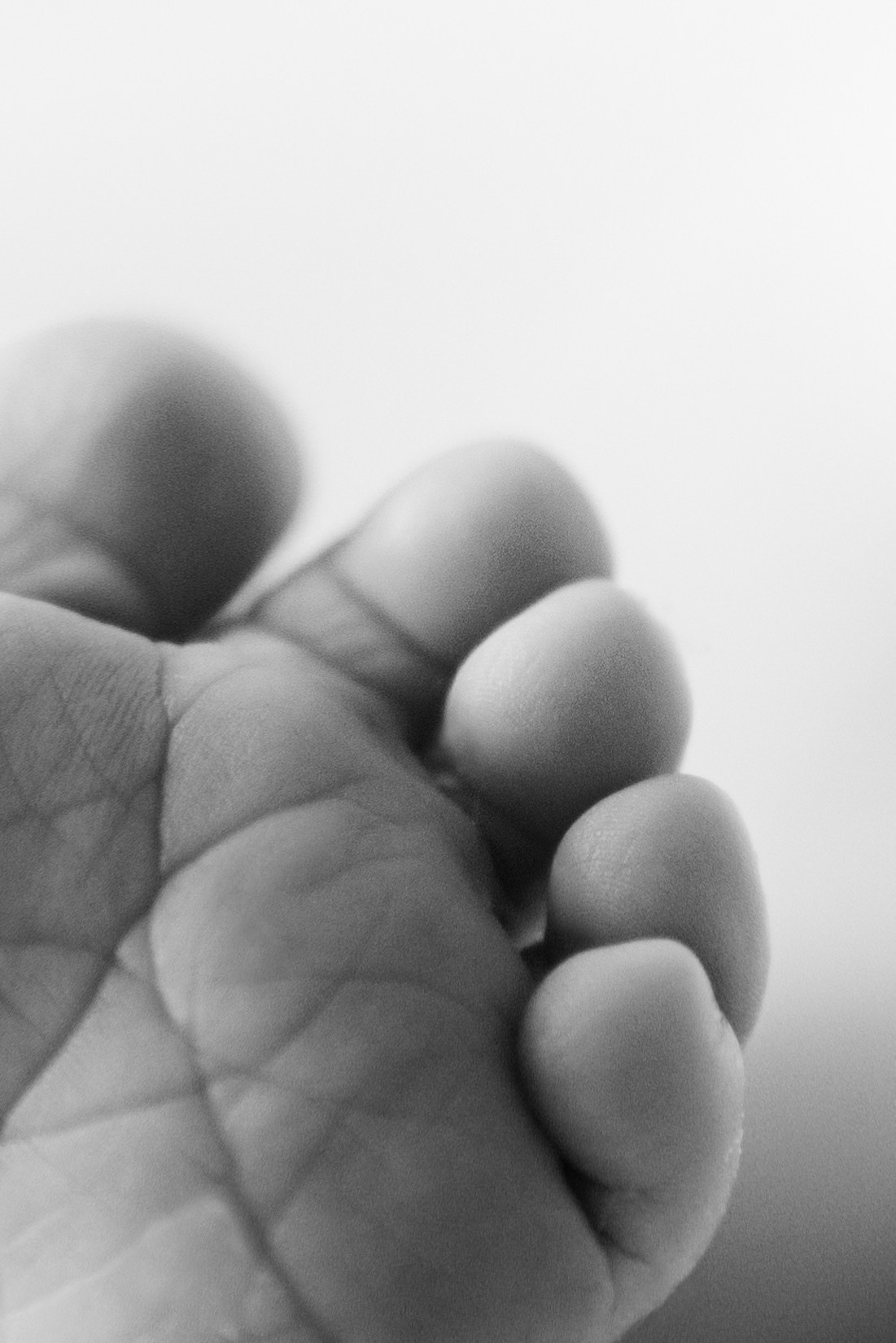 New born. Photographer in Portugal Polina Gotovaya