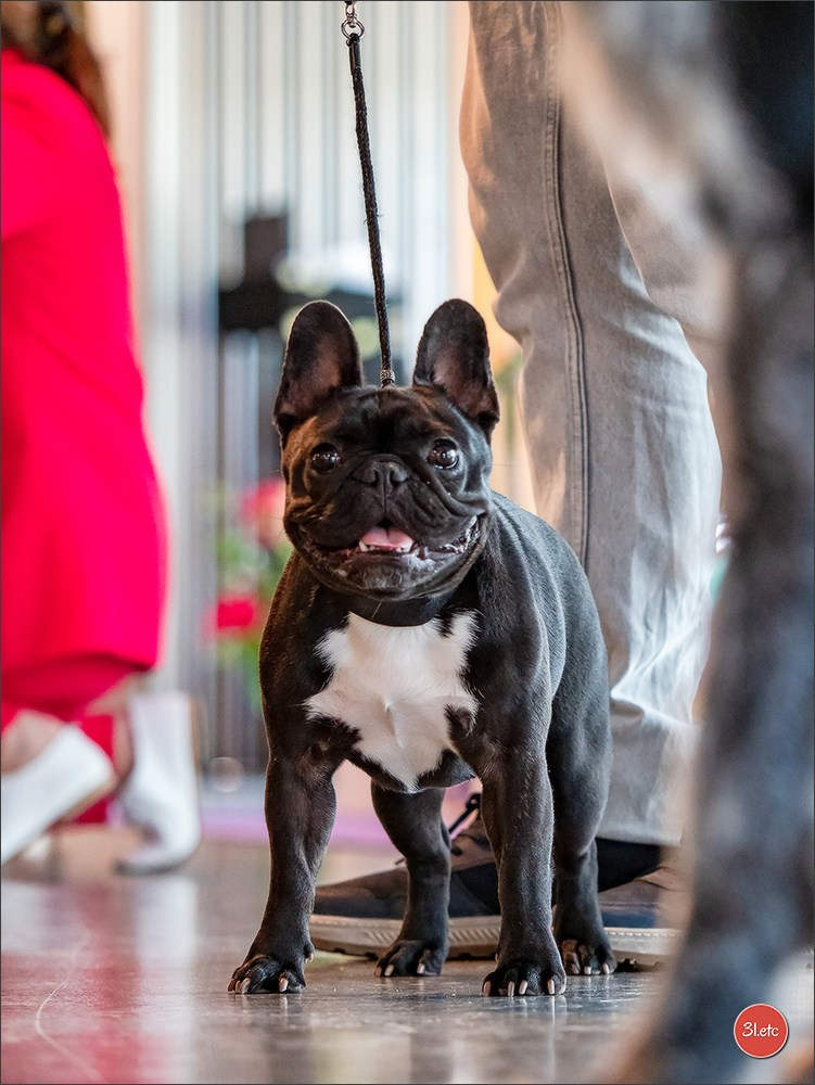 Photographie animalière. Photographe à Strasbourg | Portraits, Studio, Enfants, Événements