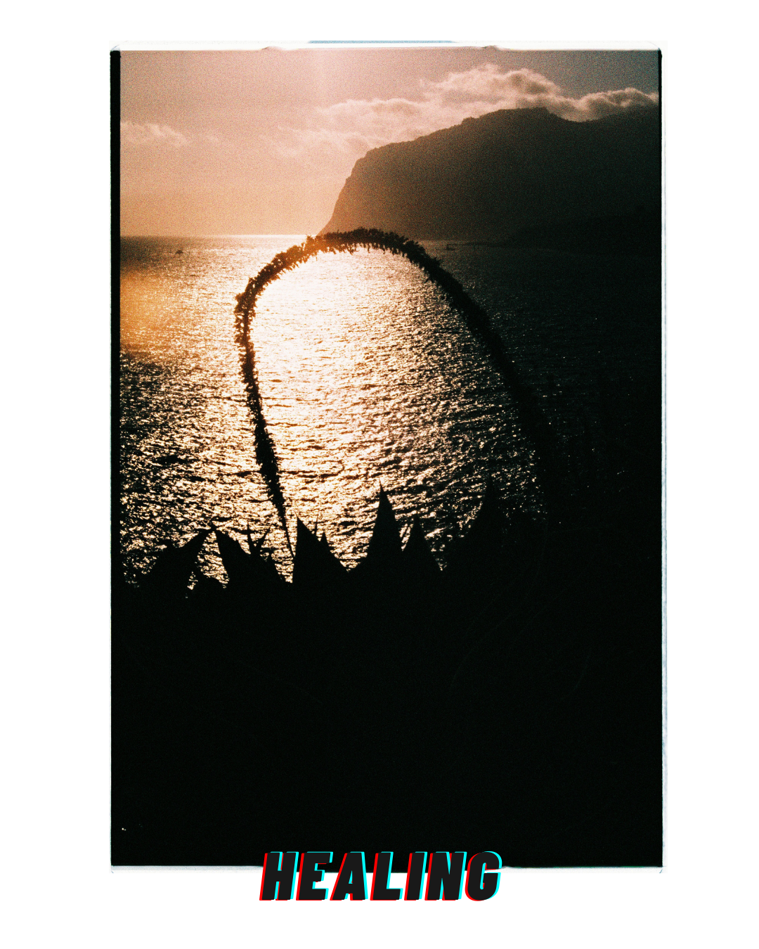 Transformation. Portrait photographer in Madeira — Marina Shtukina